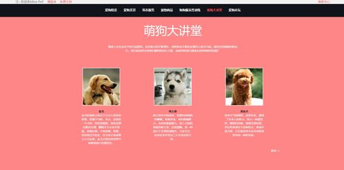 寵物狗個性化服務網站前端設計 —— 基于HTML5與DIV+CSS的靜態網頁實現
